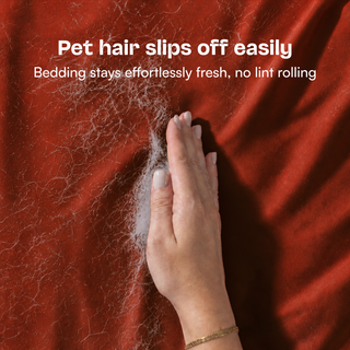 Fur-friendly Bamboo Quilt Cover Set