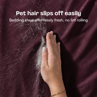 Fur-friendly Bamboo Pillowcase Set