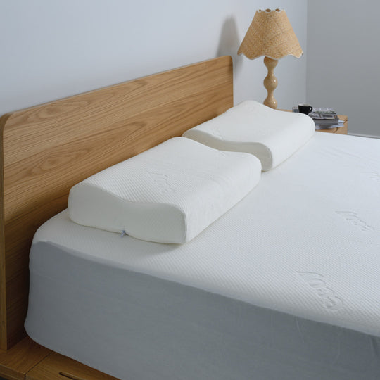 Bamboo Memory Foam Pillow