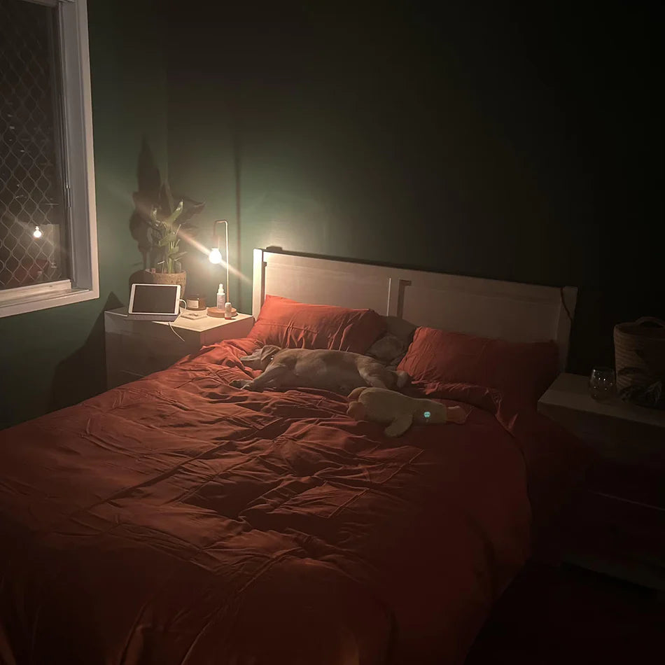 5. Premium Bamboo That Stays Smooth (Even With Pets)