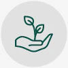 Eco-friendly Christmas gifts