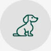 Eco pet tips