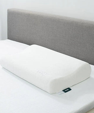 pillowcallout-1664754180680.webp__PID:85abc84e-4148-4787-a96c-c80e12a075bb