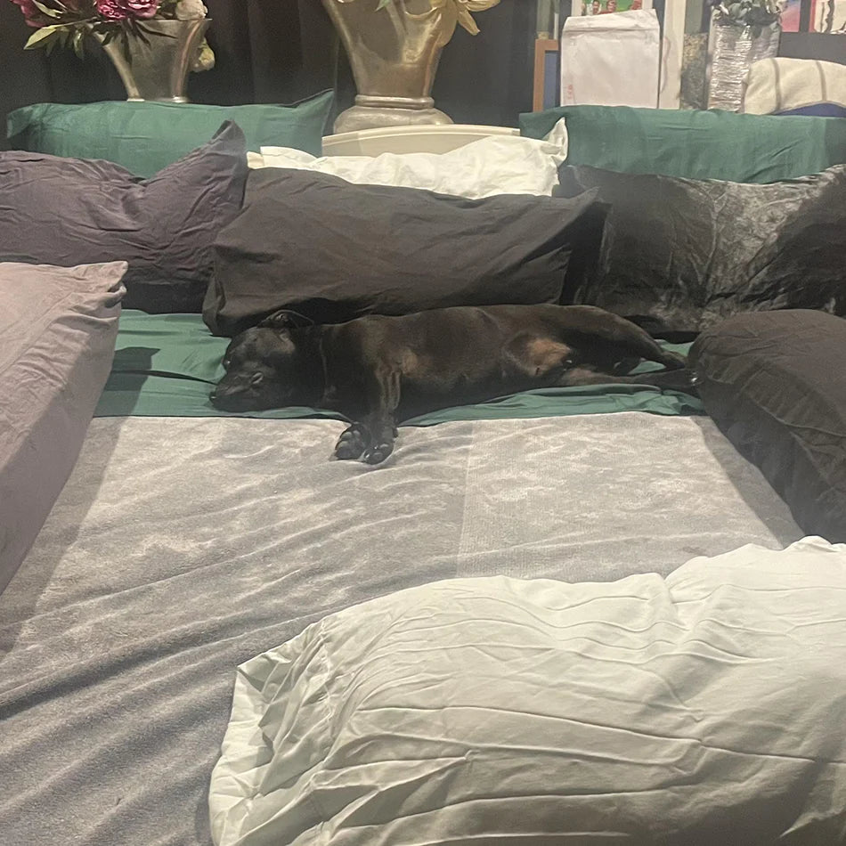 7. Risk Free 90 Night Sleep Trial